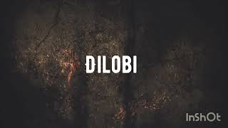 DILOBI - OFFICIAL VISUALIZER Resimi