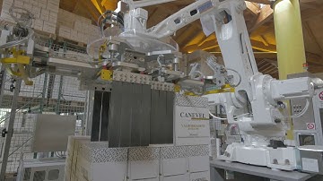 End of line Robots with Packaging Machines