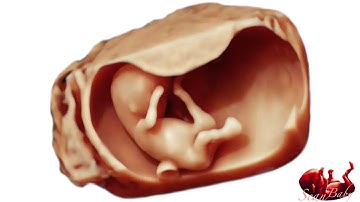 ScanBaby - relaxing baby music for mothers and children