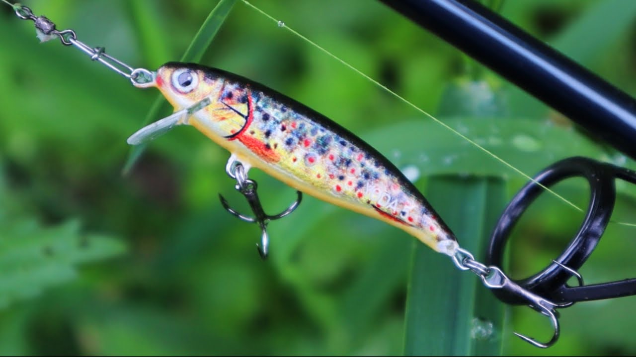 Dzisiaj tanty nie założę ! Pstrągi na twitching | Wziął kaban !!!