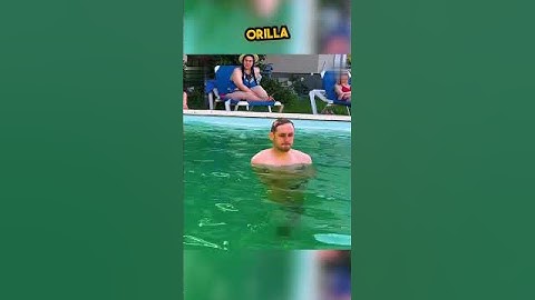 ¡El momento más vergonzoso en la piscina! 😲🏊‍♂️