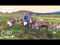 This Sanctuary Wants To Rewild Reindeer in Scotland | VR 180 | BBC Earth