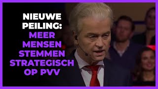Download Lagu Peiling verkiezingen 2025: ´Nog meer mensen stemmen strategisch op PVV´ MP3 Download Lagu Peiling verkiezingen 2025: ´Nog meer mensen stemmen strategisch op PVV´ MP3