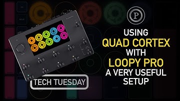 Using Quad Cortex with Loopy Pro