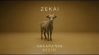ZEKAI – Ankara’nın Keçisi | OVIO Studio