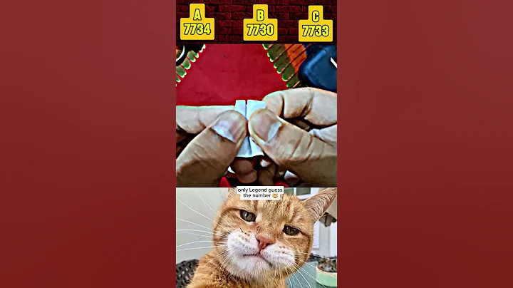 only legend can see secret number ☠️ #shorts #cat #bombastic