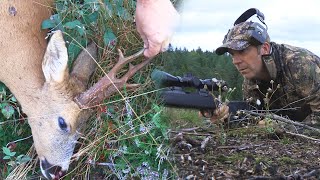 Bockjakt i augusti - En kort hyllning till älskad jakt efter råbock