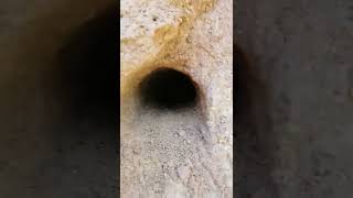 Versión 3 del video