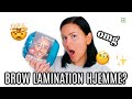 TESTER BROW LAMINATION HJEMME 🤯 | Helene Heméra