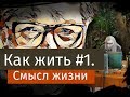 Как жить #1. Смысл жизни