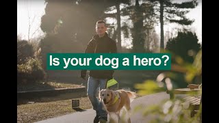 Nominate your hero for our Kennel Club Hero Dog Award 2023 | The Kennel Club by The Kennel Club 465 views 1 year ago 36 seconds