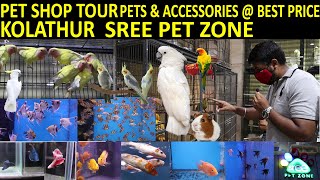 PET SHOP IN CHENNAI TAMIL/CHEAP AND BEST PETS & ACCESSORIES EXOTIC BIRDS,AQUARIUM FISH IN TAMIL