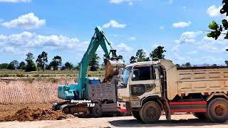 The Blue KOBELCO SX200 Excavator is Transferring Dirt to the Dump Truck Efficiently.