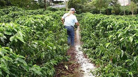 Como calcular a massa de carbonato de cálcio?
