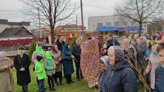 Українська Православна Церква # м.Березне 09.04.2023 # Вербна неділя #  Вхід Господній в Єрусалим