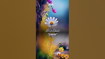 الذين صبروا وعلى ربهم يتوكلون 😘😘#تلاوات-خاشعه#راح-نفسيه #عبد الرحمن مسعد 🌺💗😘