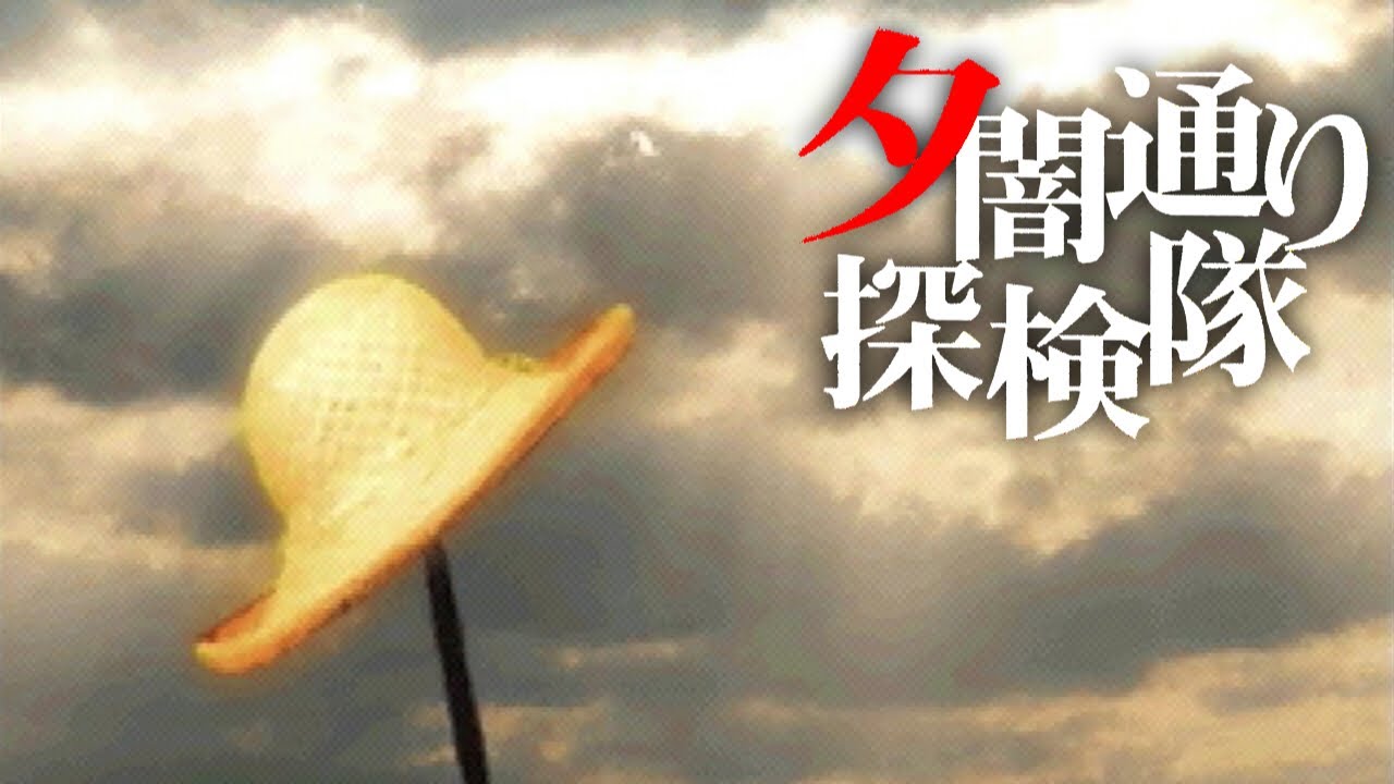 A Story of a Summer Miracle | Twilight Syndrome: Expedition Team