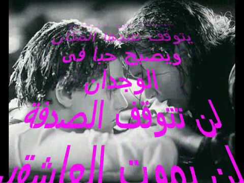 اى صدفة هذة 