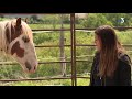 Saneetloire  gilliane senn aimerait acqurir le mustang smaran quelle a dress