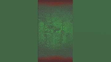 Wolvev + Night = Bad #gaming #zerosievert #gamingclips #shorts