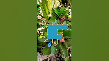 Inside out 2 Brain test