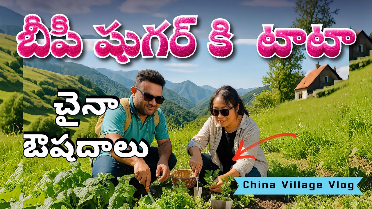 Wild Herbs Hunt in China Border 🌿 | డయాబెటిస్, బీపీకి అద్భుతమైన మొక్కలు | China Alludu 🇨🇳🇮🇳