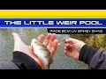 The Little Weir Pool – Catching Fish With A Spikey Shad