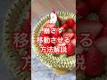 ケーキを移動させる方法🎂 #christmas