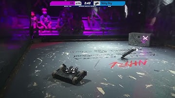 Drago Battlebots Application 2022