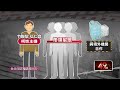 投資詐騙事件
