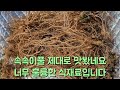 속속이풀 맛보세요 식재료로 너무 훌륭합니다 속속이풀 맛보세요 식재료로 너무 훌륭합니다