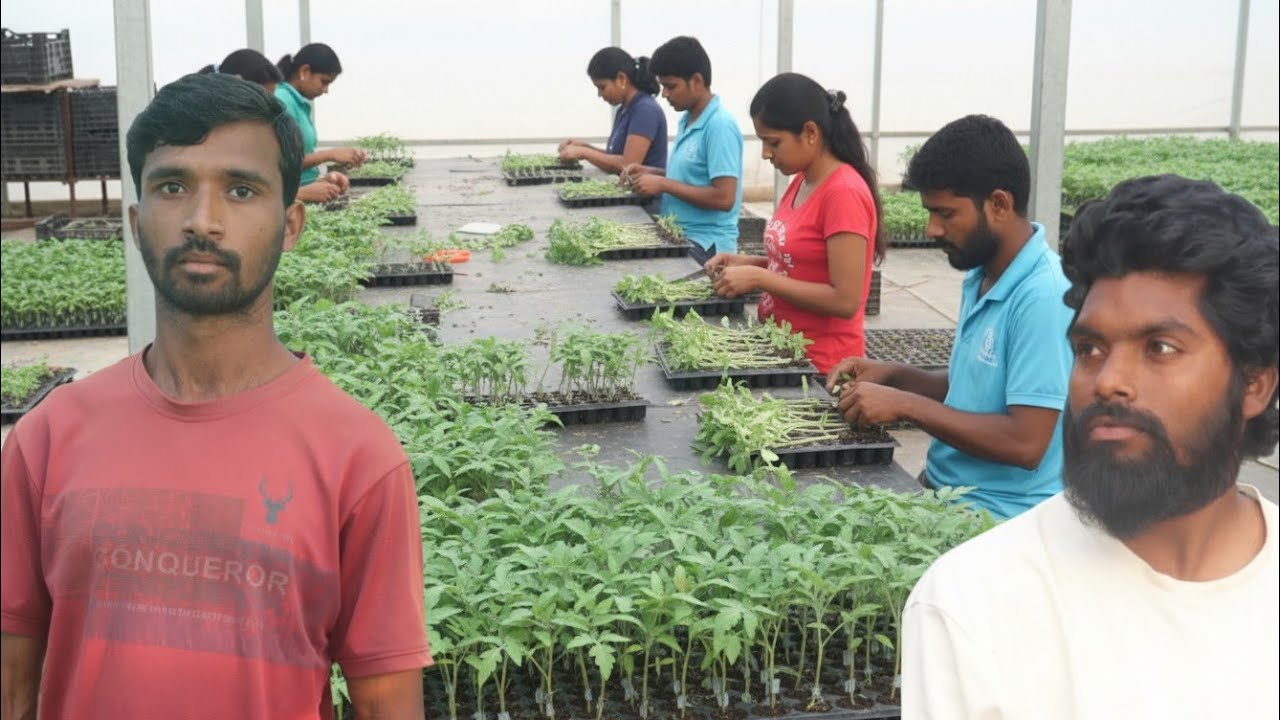 Grafting Nursery Visit | Healthy Plants aur Successful Grafting ka Raaz