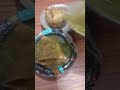 samosa enjoy #
