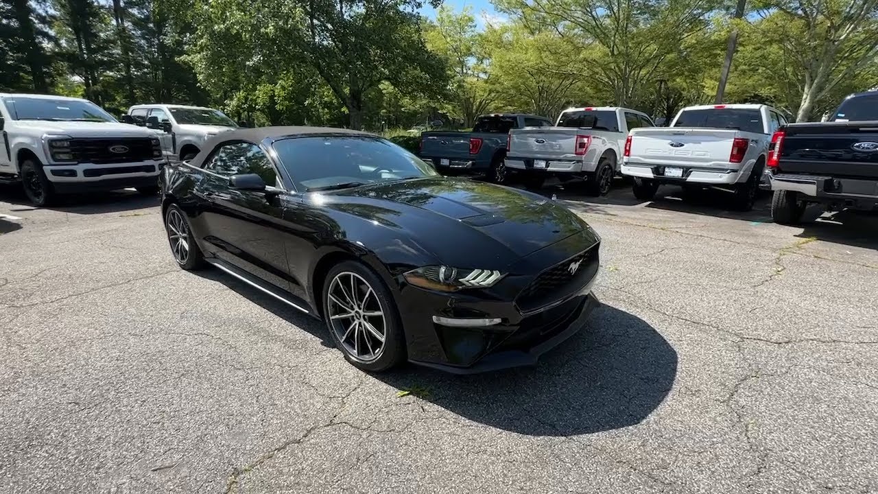 2019 Ford Mustang Alpharetta, Roswell, Cumming, Sandy Springs, Marietta