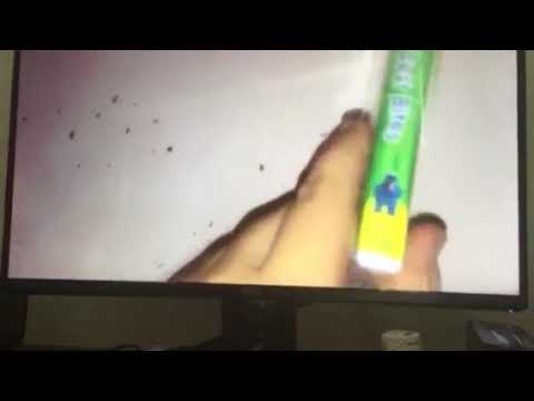 Cookie Monster S Best Bites 08 Dvd Youtube Cookie Monster S Best Bites 08 Dvd Youtube