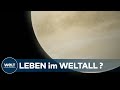 IN UNSEREM SONNENSYSTEM: Gibt es Anzeichen für Leben auf der Venus?