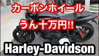 【モトブログ】Harley-Davidson ハーレー XR1200X 紹介動画