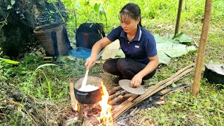 Picking wild vegetables for cooking, leveling land, building a new house | Trieu Thi Senh