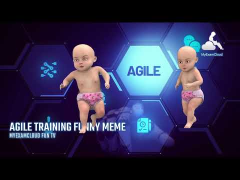 Developers after Agile Training - funny meme