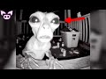 Watch scarys live ghosts cryptids shadow figures and more