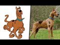 شخصيات سكوبي دو في الحقيقة/Scooby Doo characters in Real Life