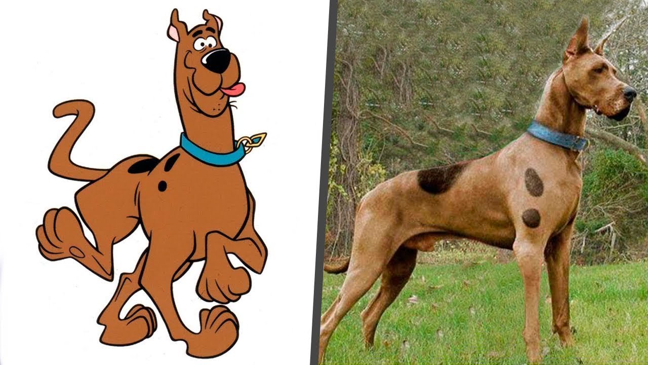      Scooby  Doo  characters in Real  