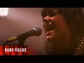 Ruby fields  dinosaurs splendour in the grass 2019