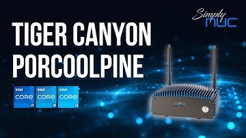 Meet the Fanless Tiger Canyon Porcoolpine! - Unboxing