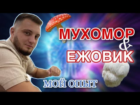 МИКРОДОЗИНГ Ежовик /Красный мухомор / Пантерный мухомор
