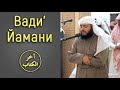 Коран Вади аль Ямани сура 78 ан Наба