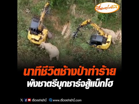 ข่าวสารเกี่ยวกับการศึกษาและการเรียนรู้