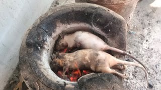 คั่วหนูสูตรนี้ 