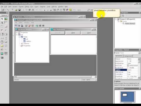 Visual Basic Veritabanı