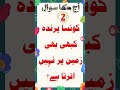 Urdu Gk quiz kabhi zamin per na ane wala parinda #shorts #gk #quiz